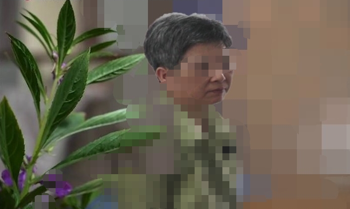 H2.jpg