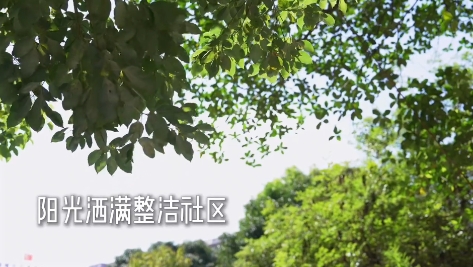 《社区反邪教“粤小正”同行》