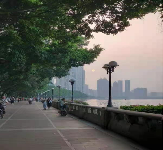 图片说明