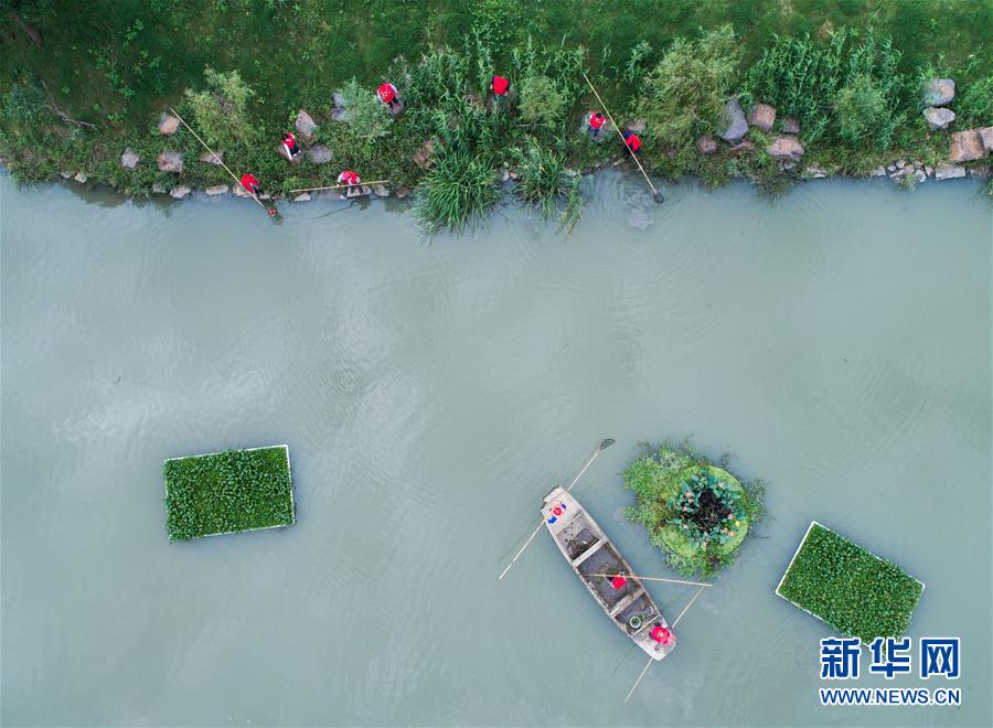 图片说明