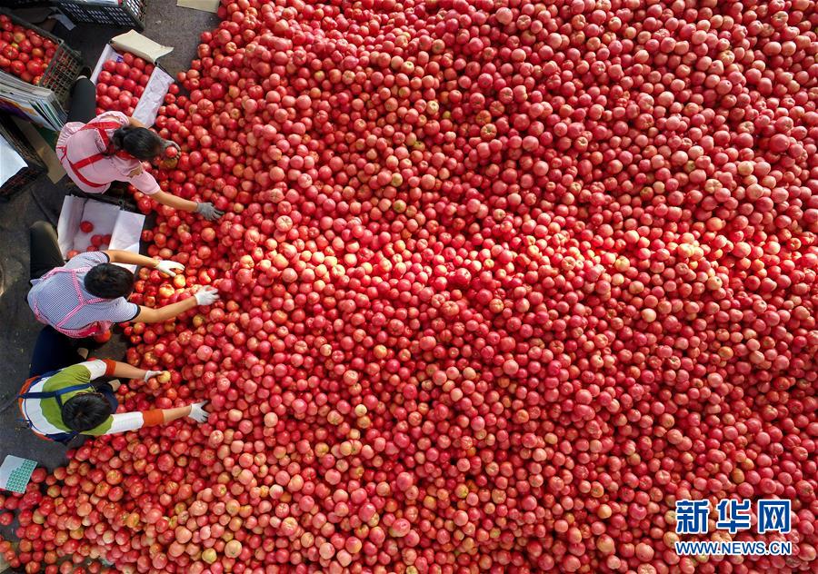 图片说明