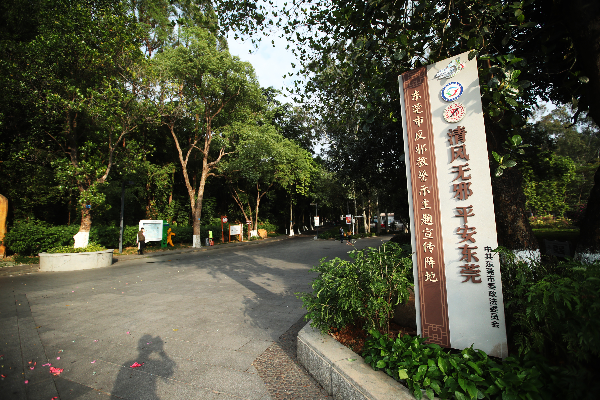 图片说明